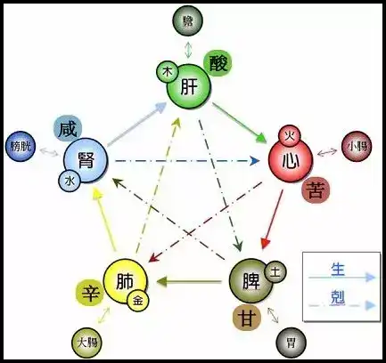 中医里五行,五脏,五味的对应关系