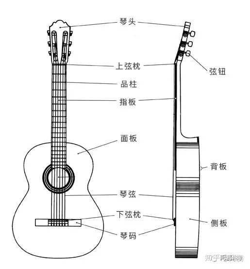 零基础如何自学吉他