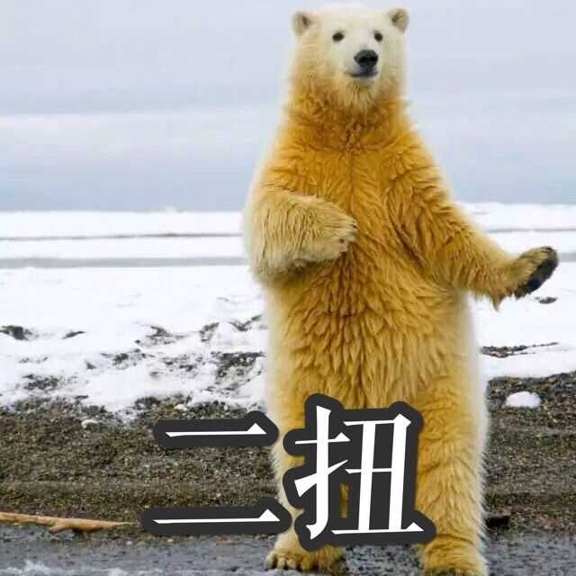 userid=396221479 (来自@网易云音乐) 希望你喜欢北极熊崽崽 它们真的