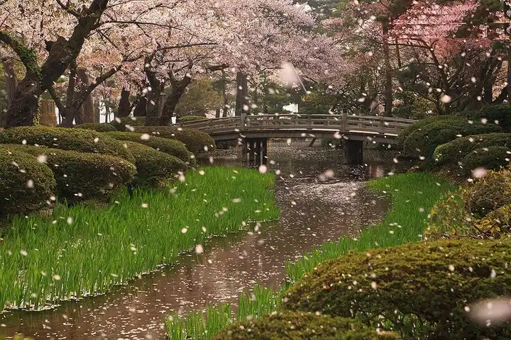 其他推荐:长野县高远城址公园 岐阜县白川乡