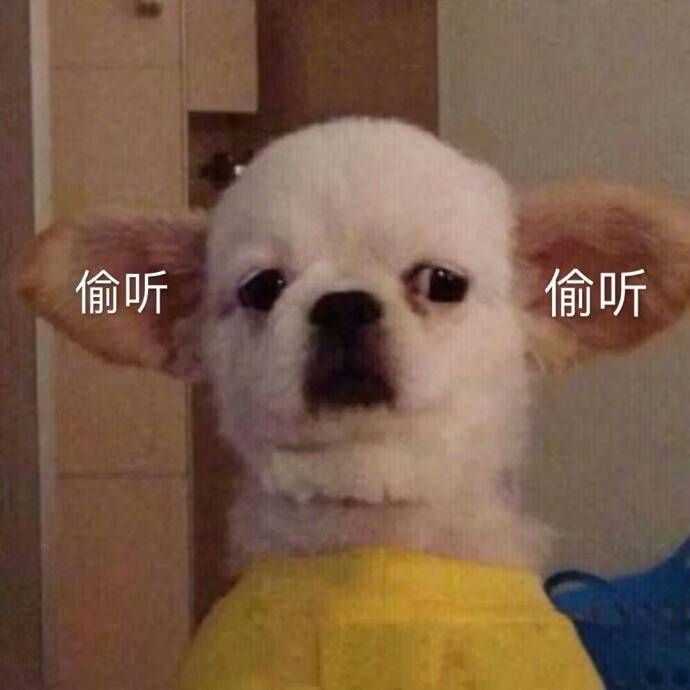 哪里有适合做头像的表情包?