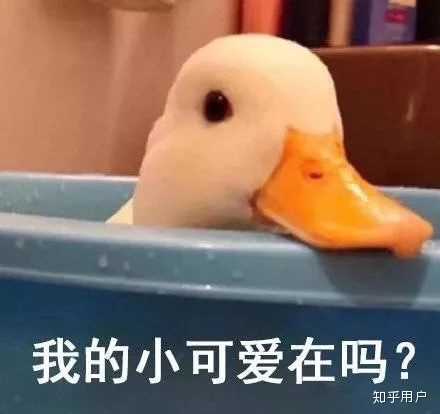 有哪些可爱的表情包?