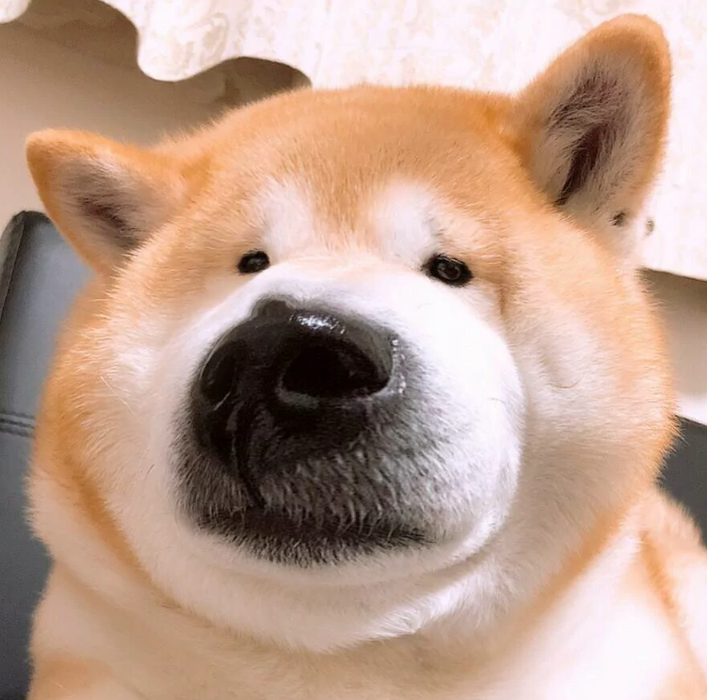 有哪些沙雕又可爱的情侣头像?