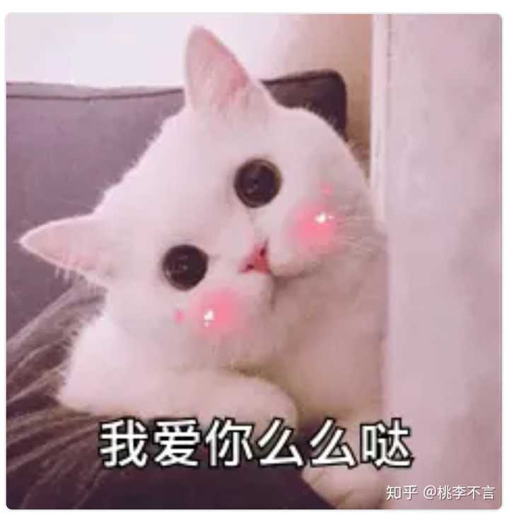 爱你哟,么么哒!