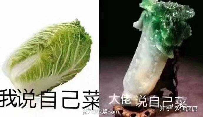 有哪些科研人士必备表情包?