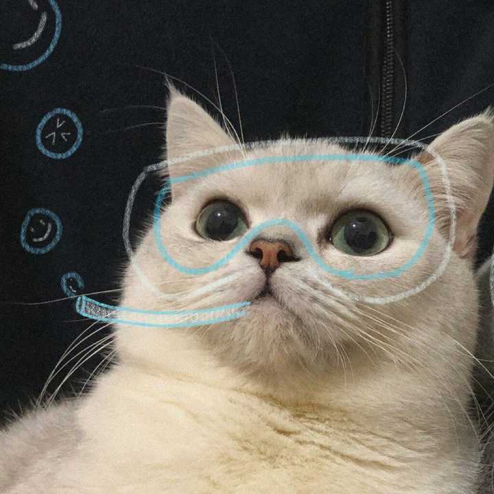 有哪些是你不舍得换的微信头像?