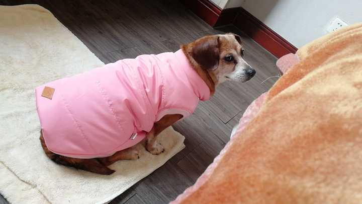 知乎