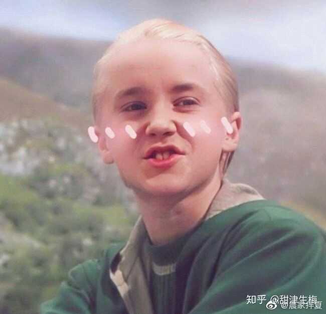 有人分享一下拽哥德拉科马尔福的图片,表情包,壁纸吗?