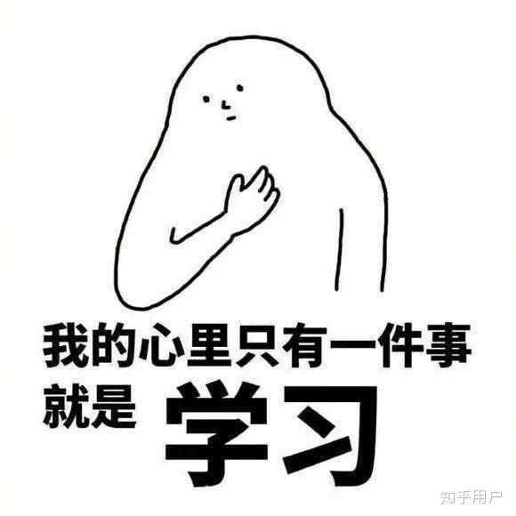 沉迷学习无法自拔