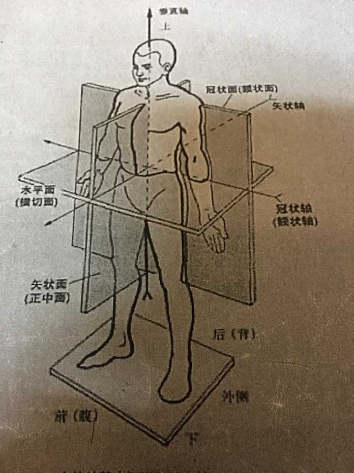 肩关节做内旋外旋是在哪个面做运动?