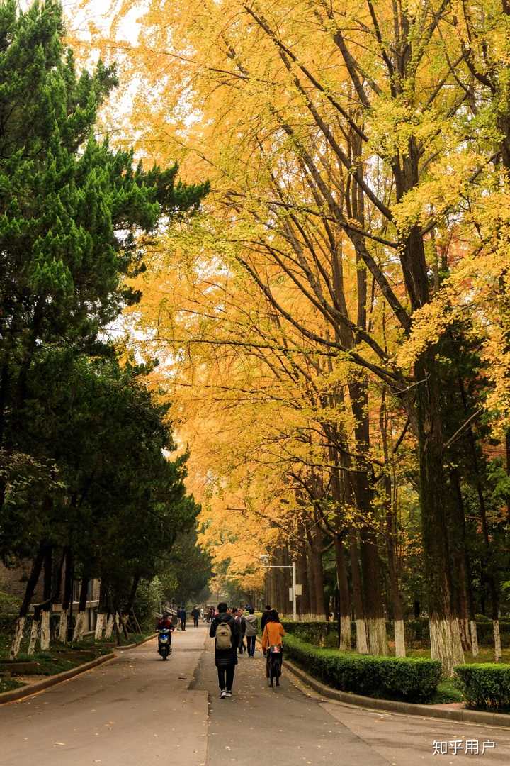 这张是高三下学期设置的锁屏,南京大学,没考上_>`