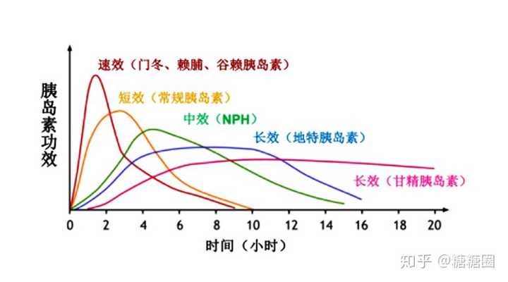 分为超短效胰岛素,短效胰岛素,中效胰岛素,长效胰岛素和预混胰岛素