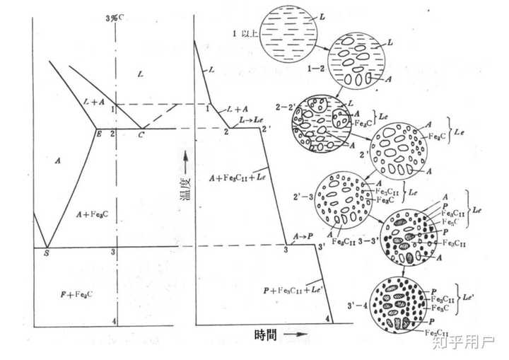 亚共晶白口铸铁,冷却曲线和平衡凝固过程示意图