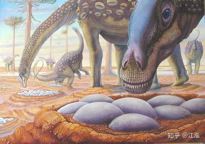 我们熟悉的大型恐龙,比如像梁龙,腕龙,阿根廷龙这样的蜥脚类,它们在