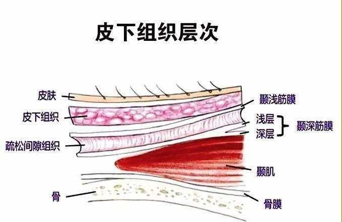 筋膜枪能否代替泡沫轴?