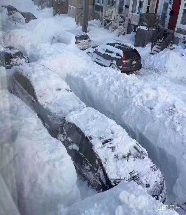 黑龙江内蒙古吉林多地突降暴雪,齐齐哈尔发布暴雪红色