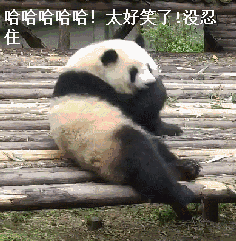 有没有很可爱的熊猫表情包或者视频