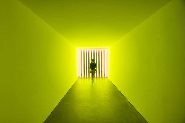 dan flavin's          (to robert, joe and michael), 1975–81