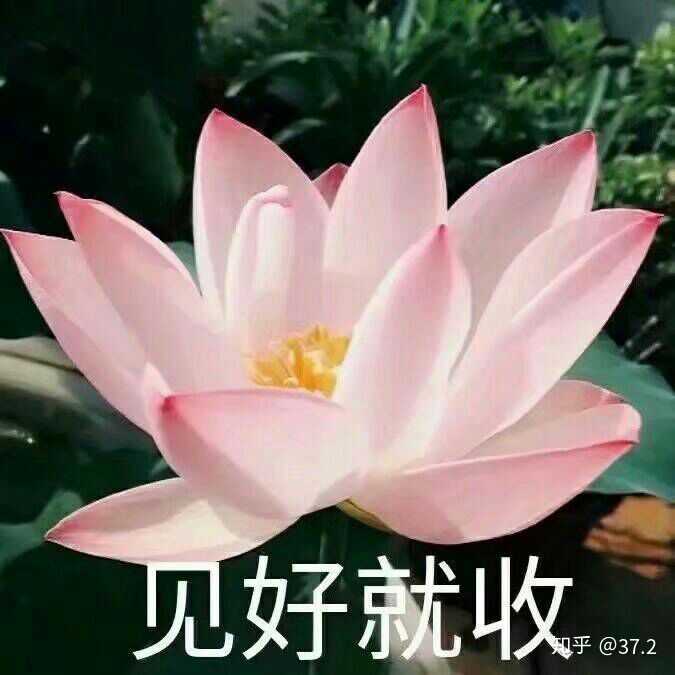 各位,请把你们认为最好看的微信头像,情侣头像,微信背景图晒出来看
