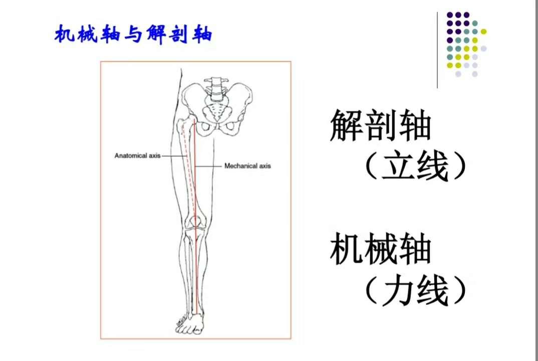 陈军平 的想法: 下肢机械轴为下肢动力轴线,通过髋,膝,… - 知乎