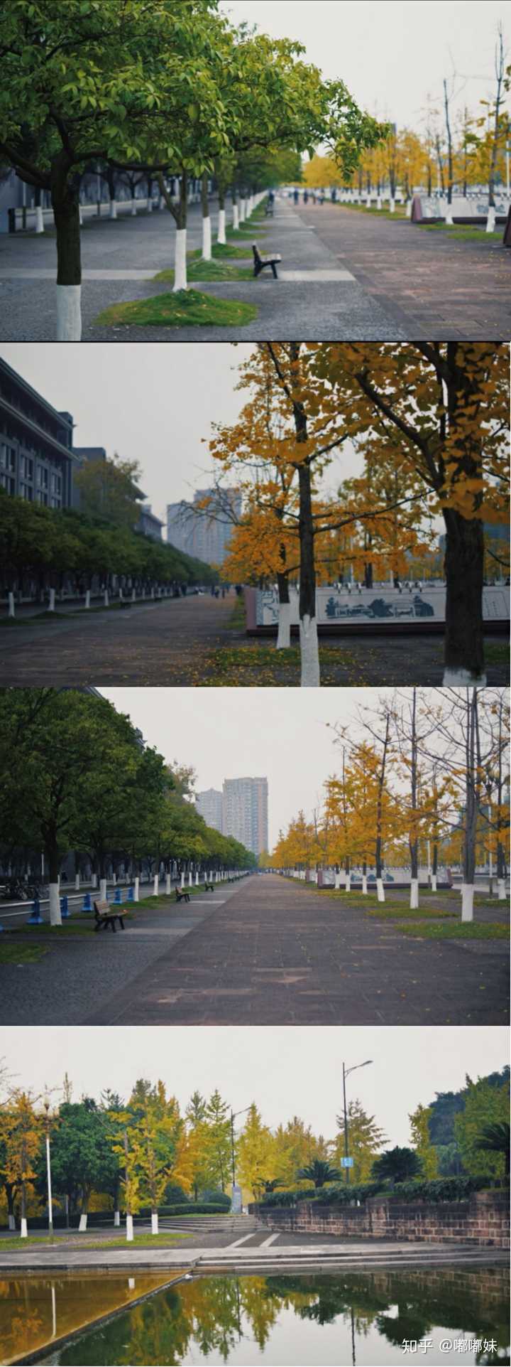 你有哪些用原相机拍出来好看的照片?