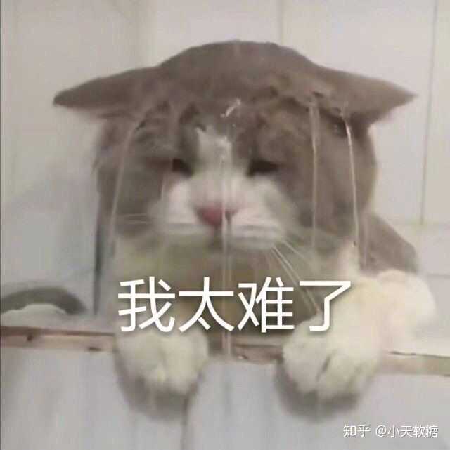 你都存了哪些沙雕表情包?