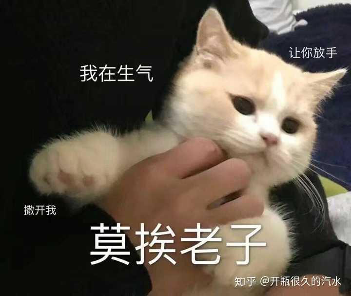 有那些撩男朋友的斗图?