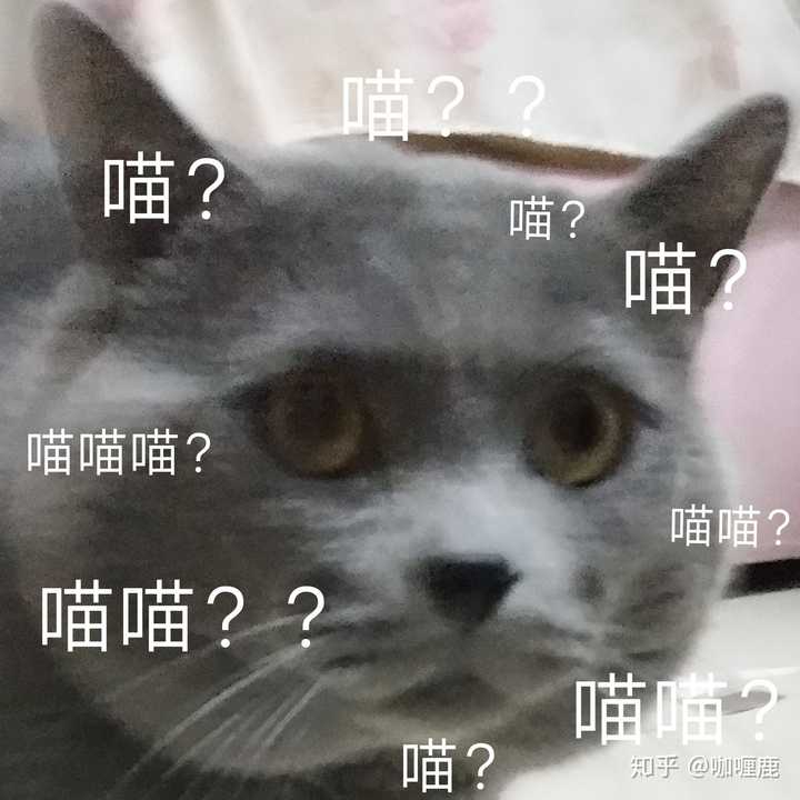 永远一脸好奇