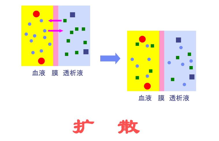 半透膜能透过什么 知乎