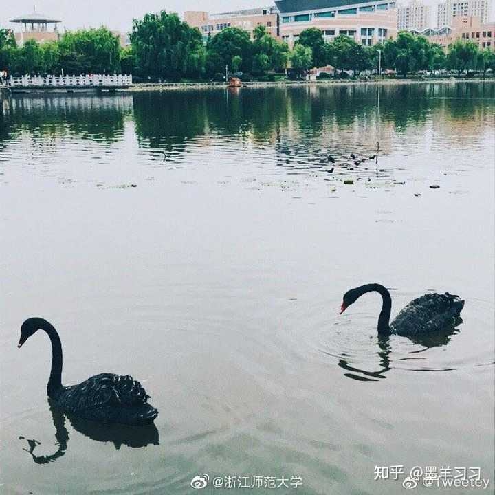 在浙江师范大学里有哪些适合学习的地方?