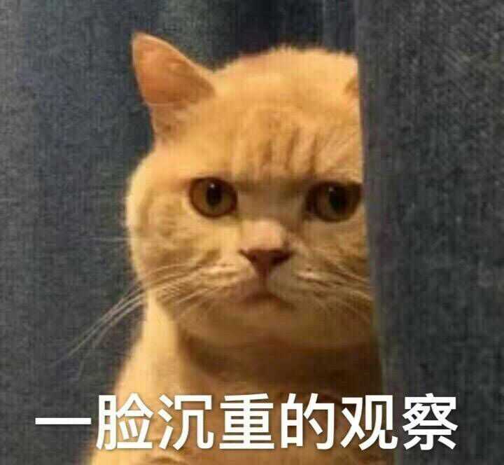 我是冷漠的分割线--------   像我这么耿直的答主真是没谁了.