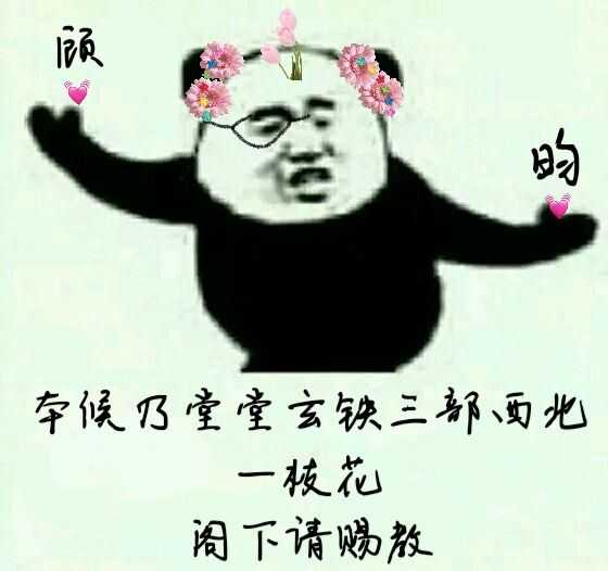 你都存了哪些沙雕表情包?