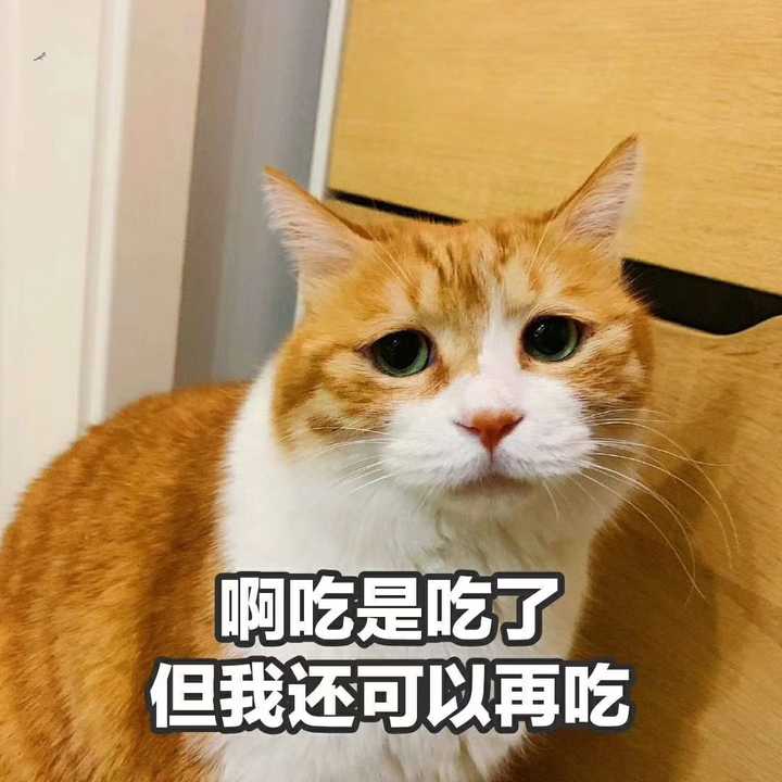 爸妈露出了欣慰的表情 但是我已经快露馅了!
