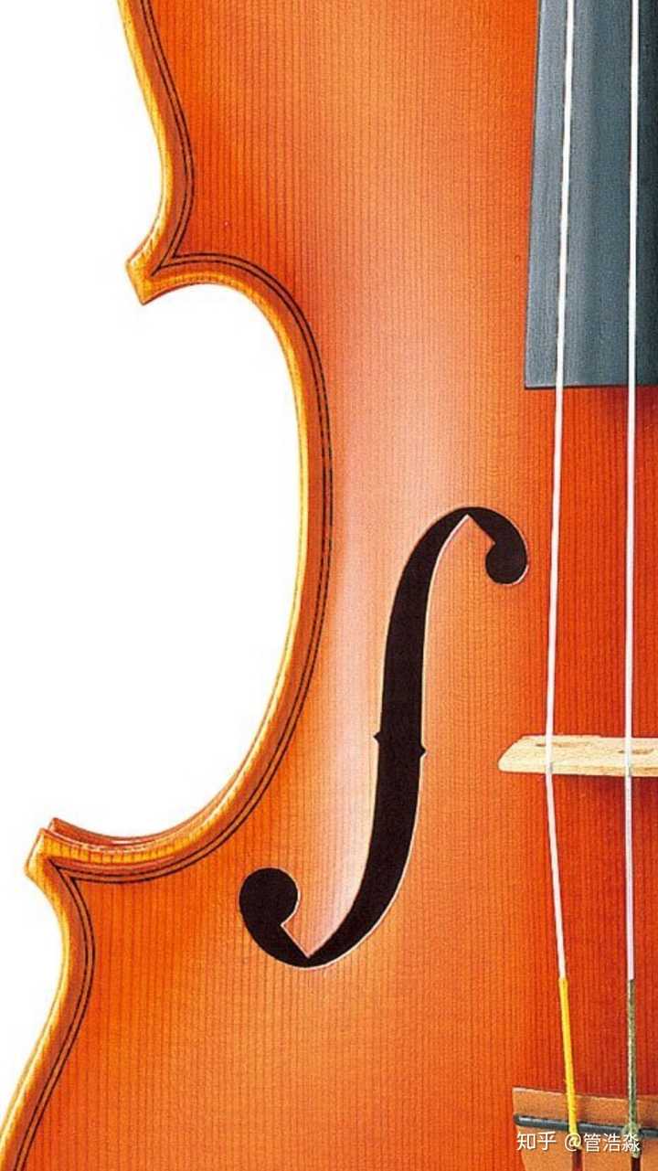 怎样评判一把小提琴是一把好琴?