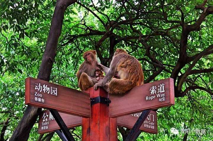 公园内主要有弘福寺,黔灵湖,动物园等主要浏览区域.