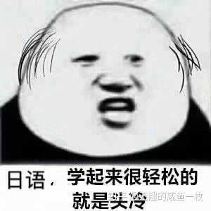 装b技能up收下这波日语表情包