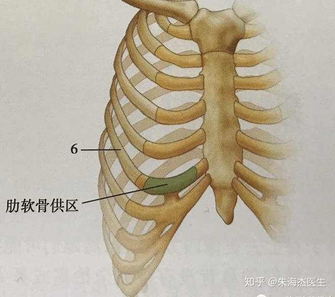 做鼻综合是什么体验?