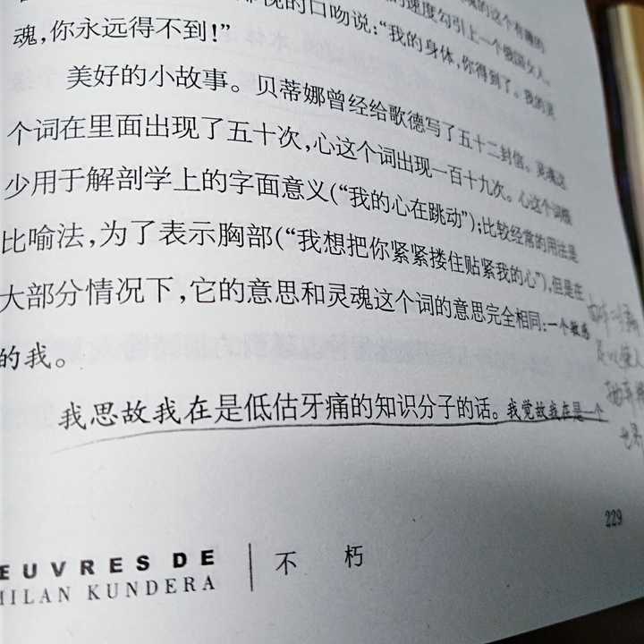 《不朽》