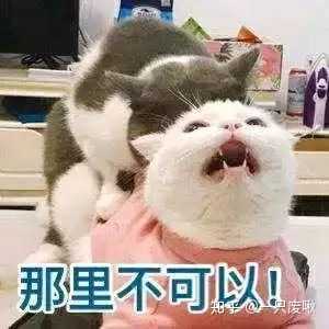 情侣之间有哪些