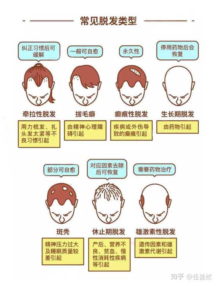如何判断脱发的类型?