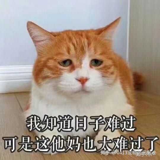2020你想脱单吗?