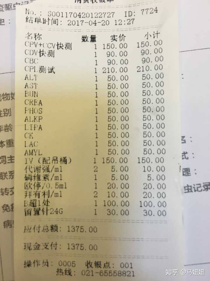 为啥必须交八百检查,才给猫咪开感冒药?