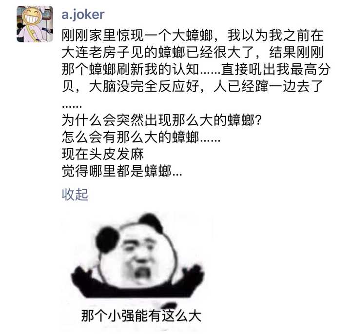 北方人在南方第一次看到蟑螂是一种什么样的体验?