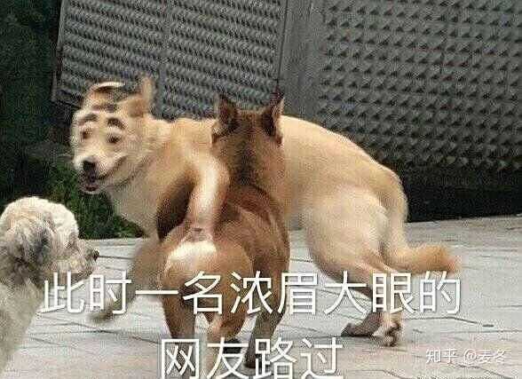 你都存了哪些沙雕表情包?