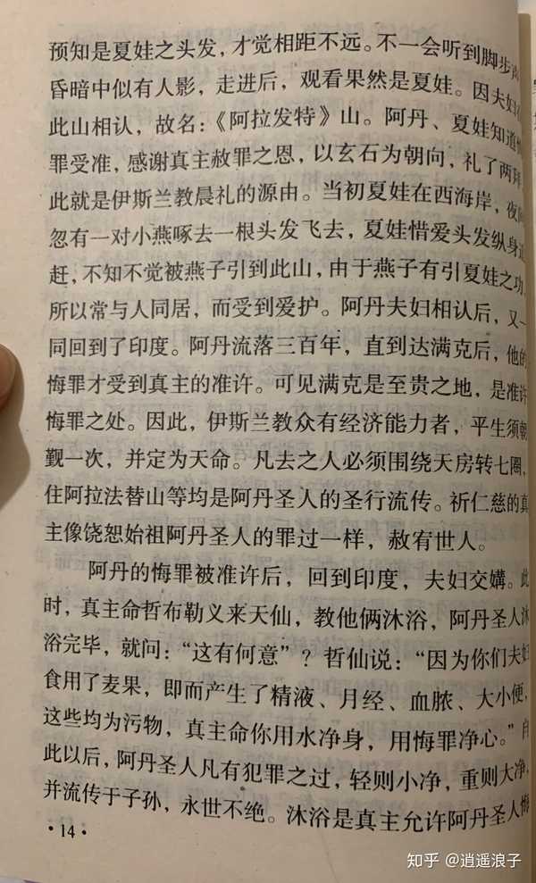 逍遥浪子 的想法 人祖阿丹圣人下降到地上经历的事迹与从中 知乎