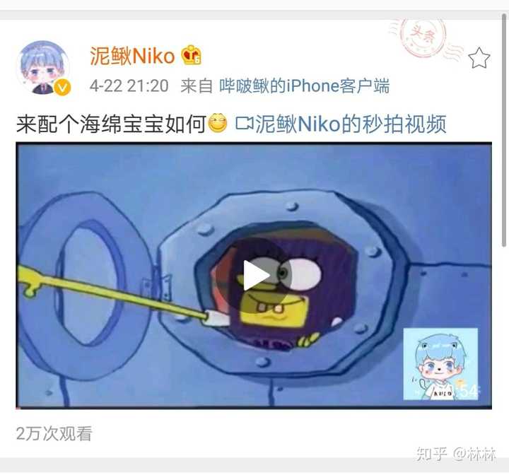 如何评价网络歌手泥鳅niko?