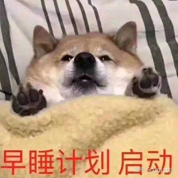 哎 答主老了 洗洗睡了