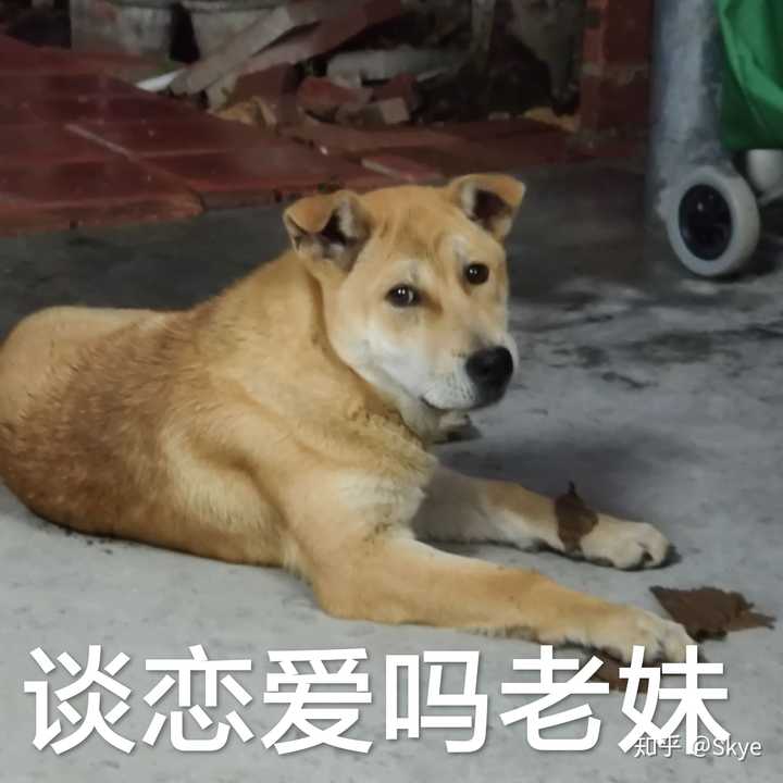 送一张表情包