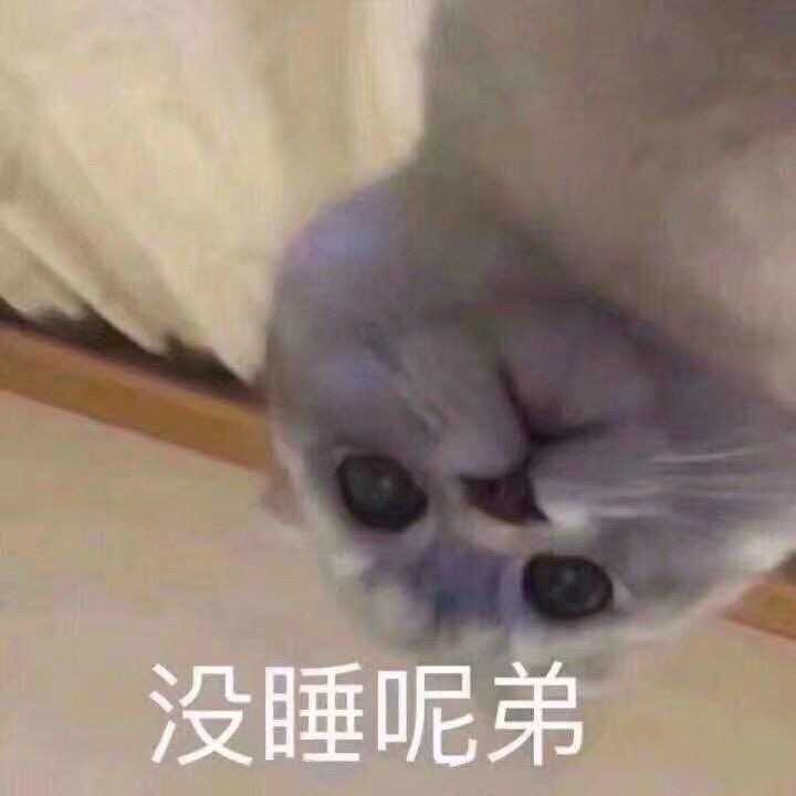 有兄弟有沙雕头像嘛?