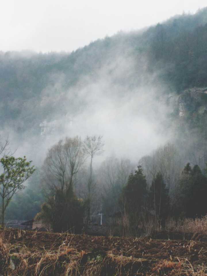 我的老家 烟雨蒙蒙.小山村. 我觉得很美.